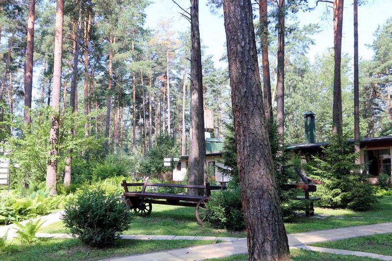 Усадьбы Белоруссии Беларуси - усадьба Бивак - Территория и природа
