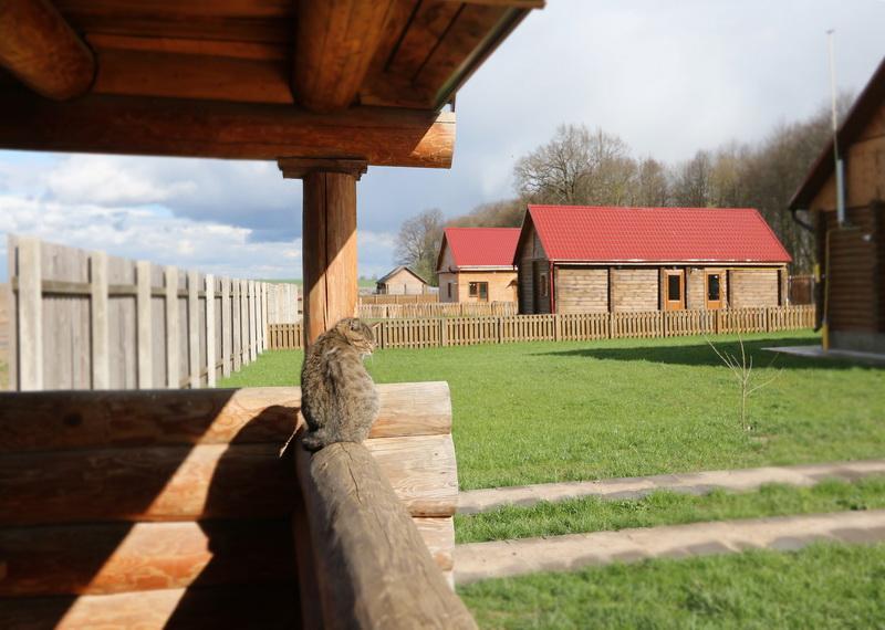 Farmsteads of Belarus - farmstead Dukorsky maentak - Utility