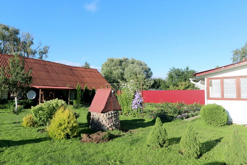Farmsteads of Belarus - farmstead Vasilevskih - Territory